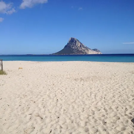Il Gelsomino San Teodoro (Sardinia)